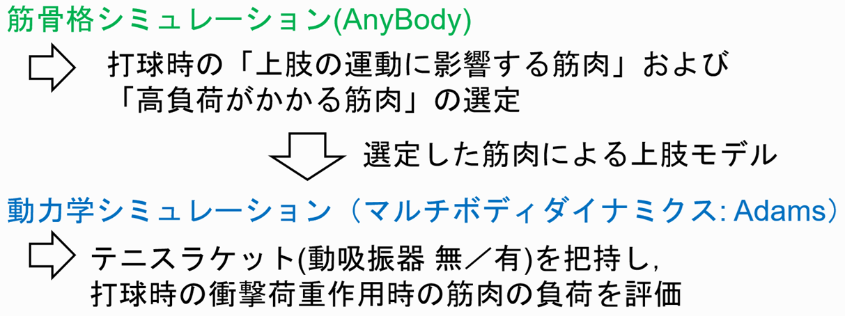 客観評価のための上肢力学モデルの構築フロー